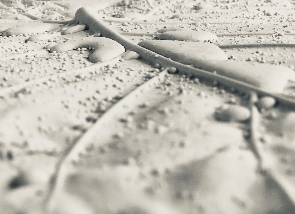 {huellas del paisaje}